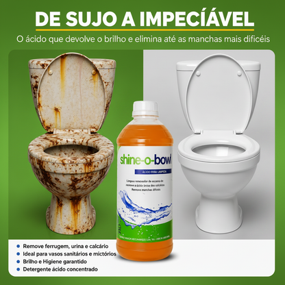 Shine-o-Bowl fundo verde